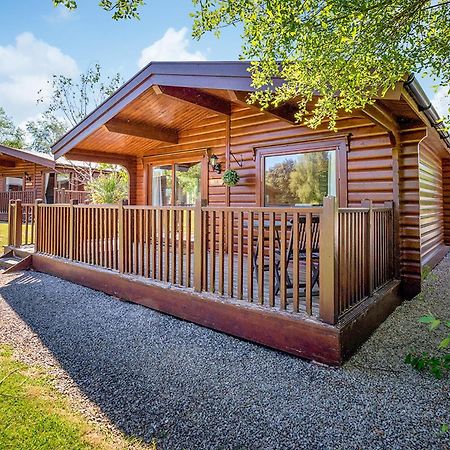 Fingle Glen Lodges Whitestone Esterno foto