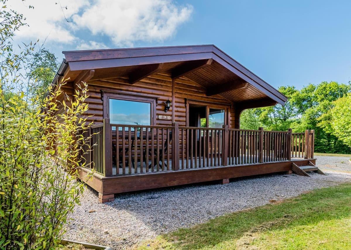 Fingle Glen Lodges Whitestone Esterno foto