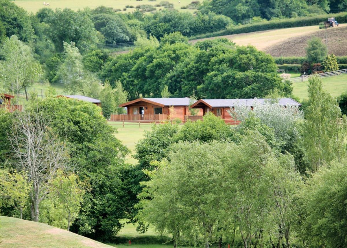 Fingle Glen Lodges Whitestone Esterno foto